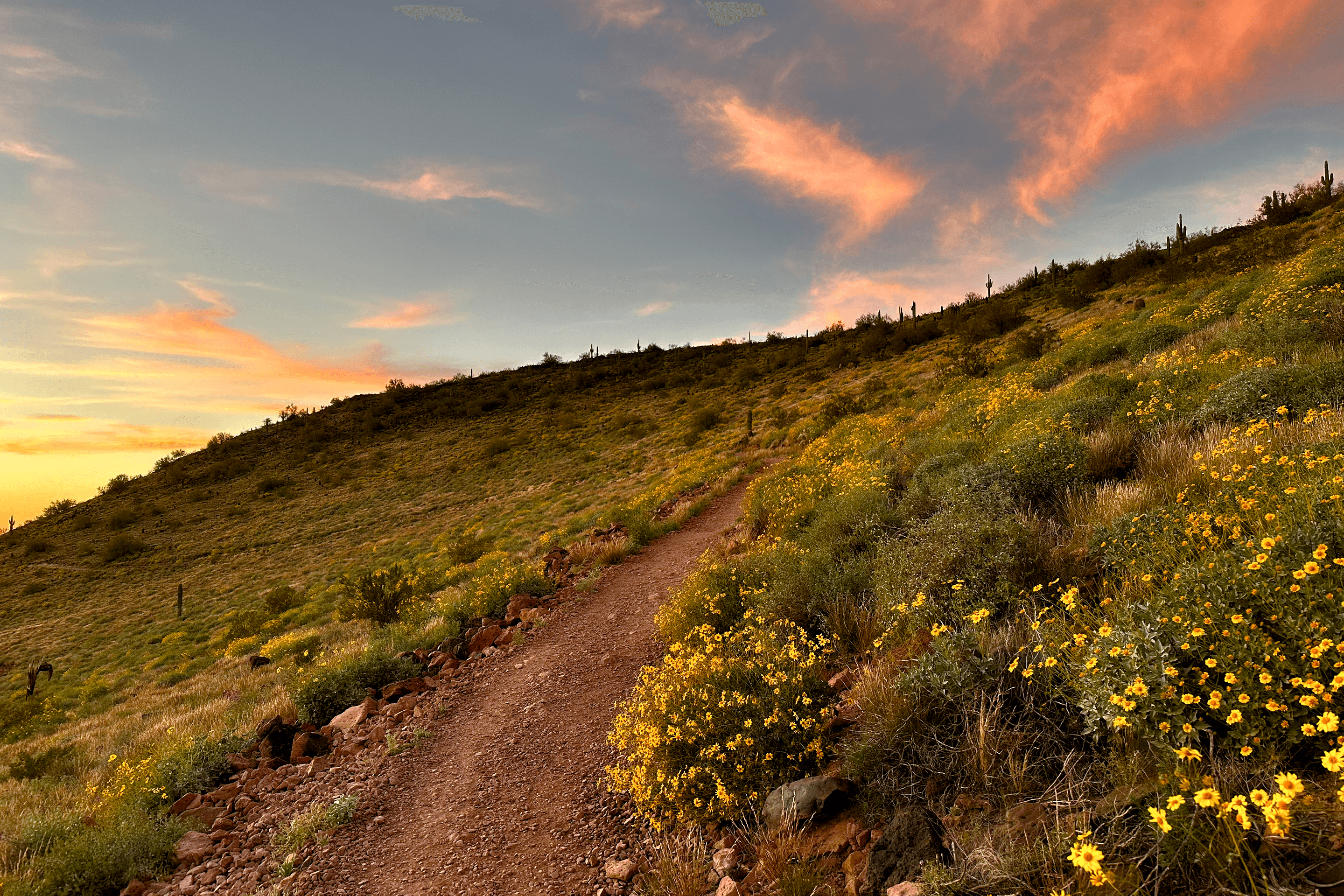 Thunderbird Park Sunset