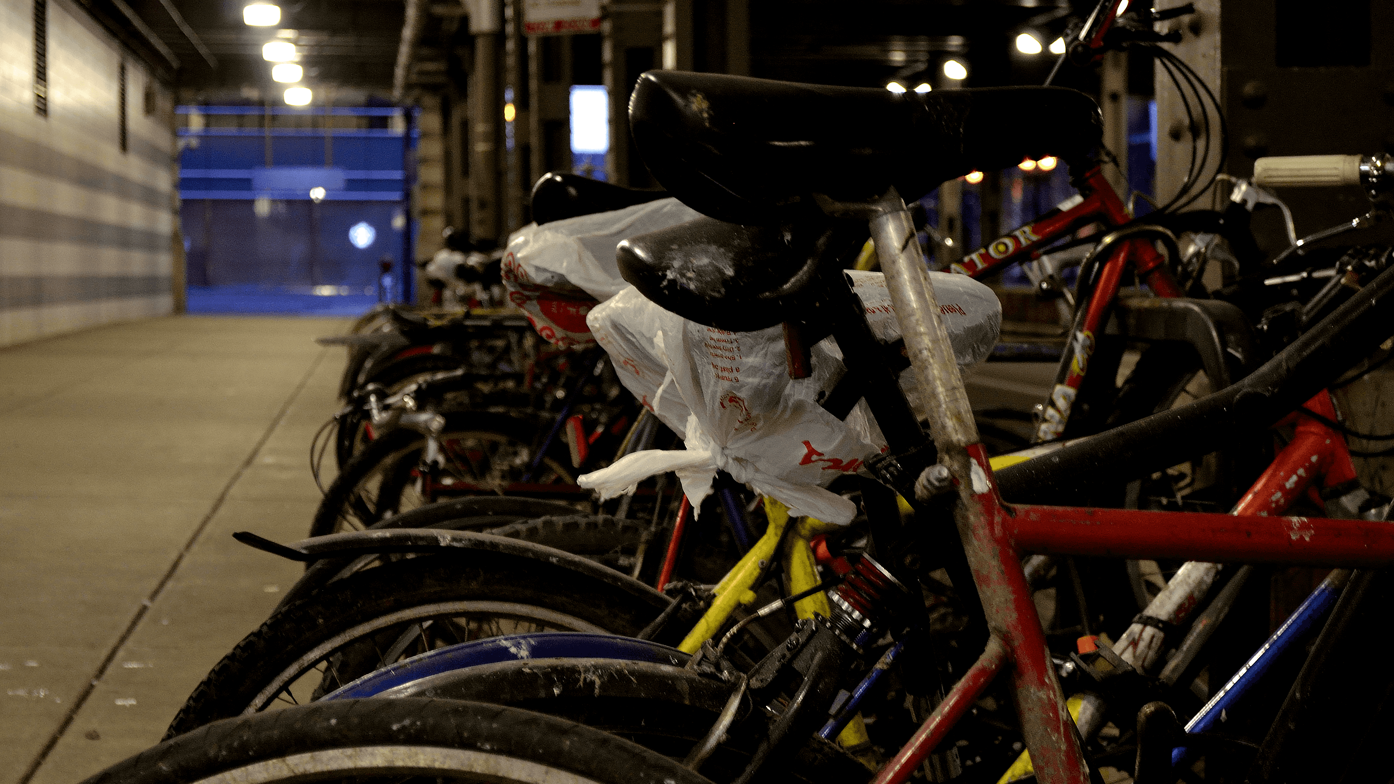 Birds and Bicycles