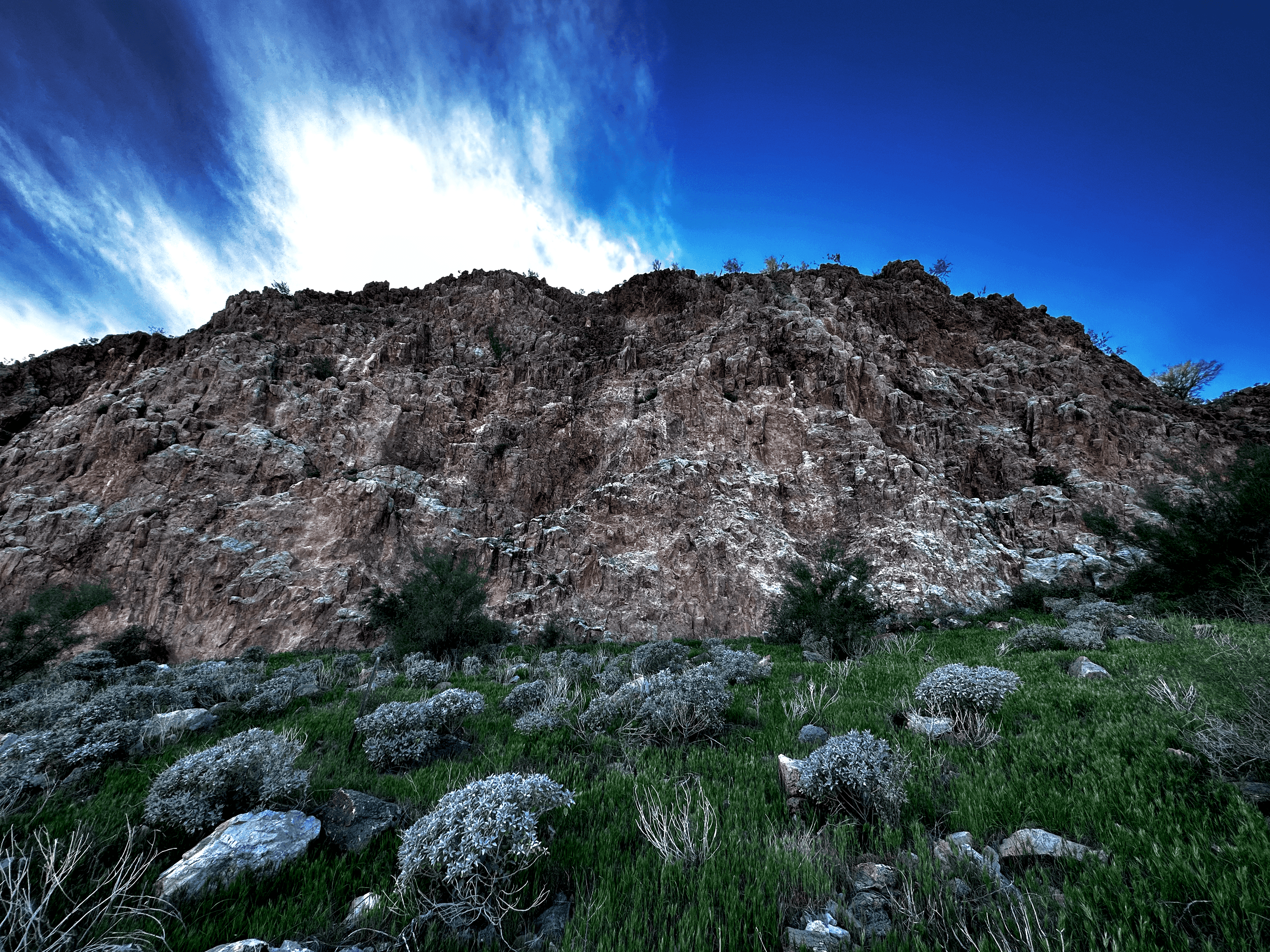 Grass Before Cliff