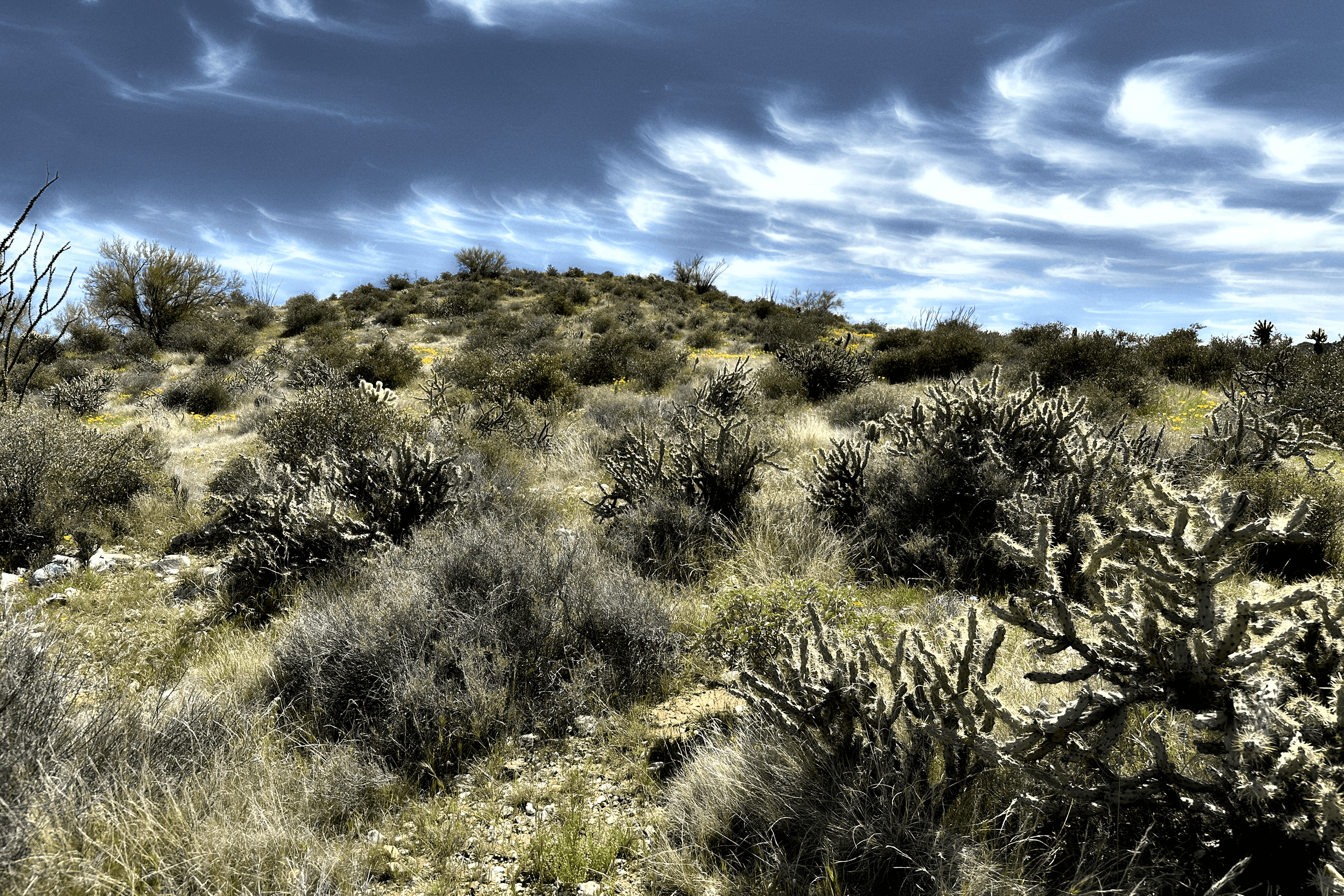 Feathers Over Hill