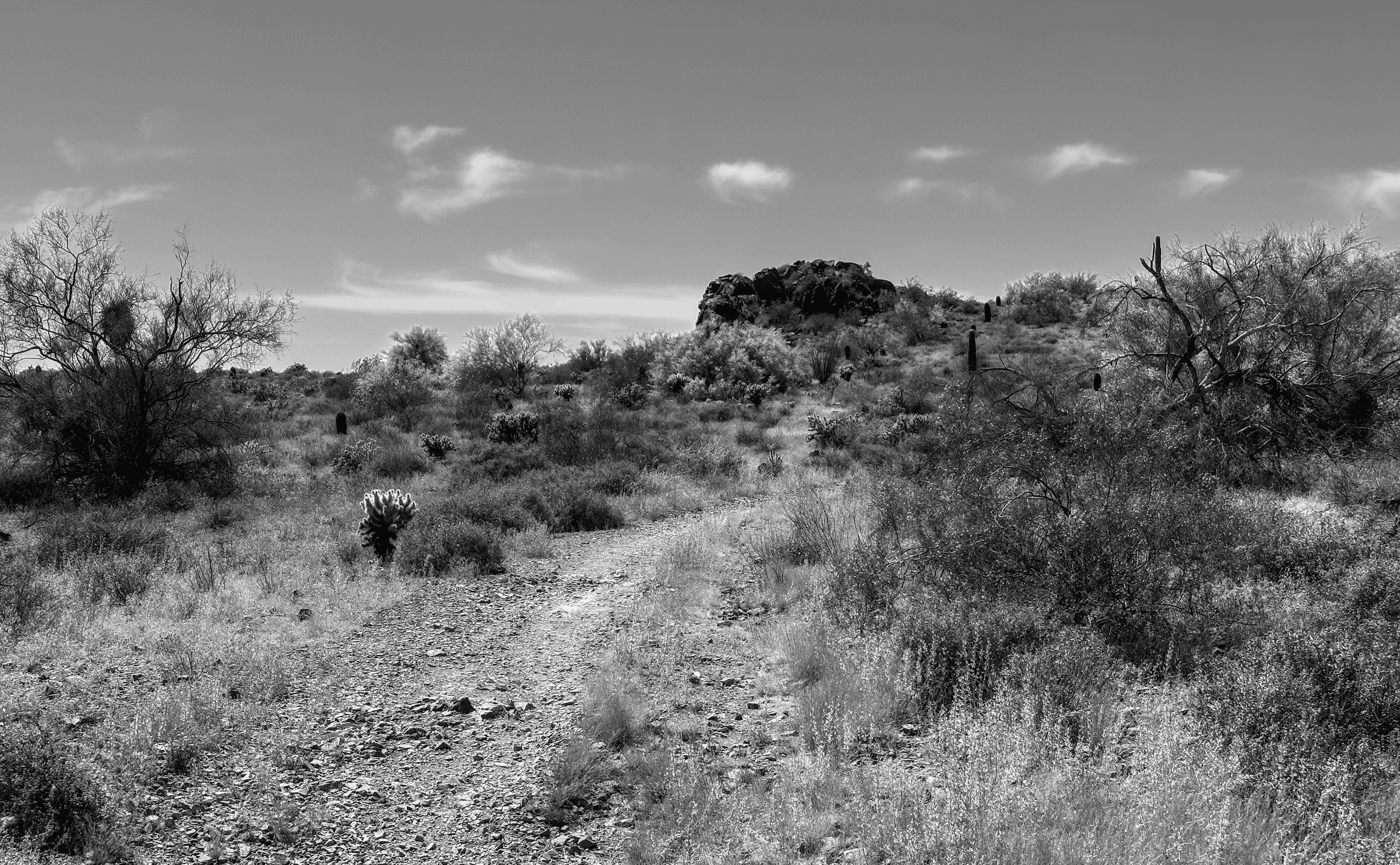 Pathway to a Rock