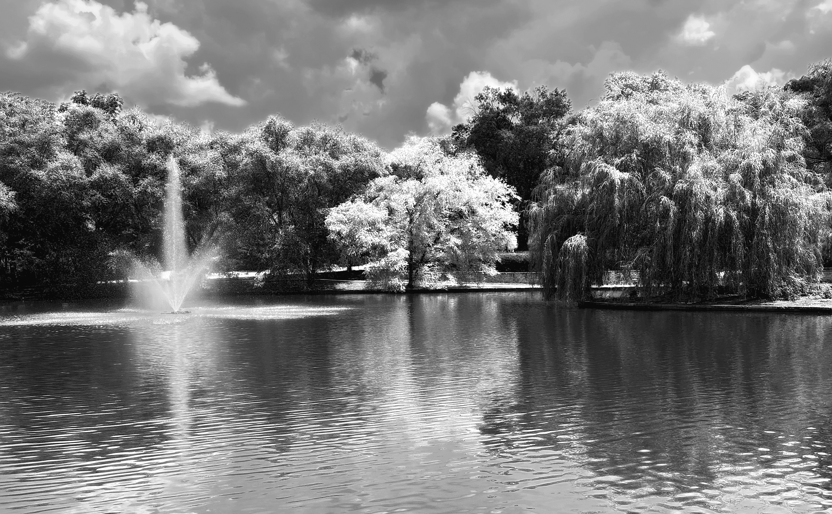 Manicured Pond