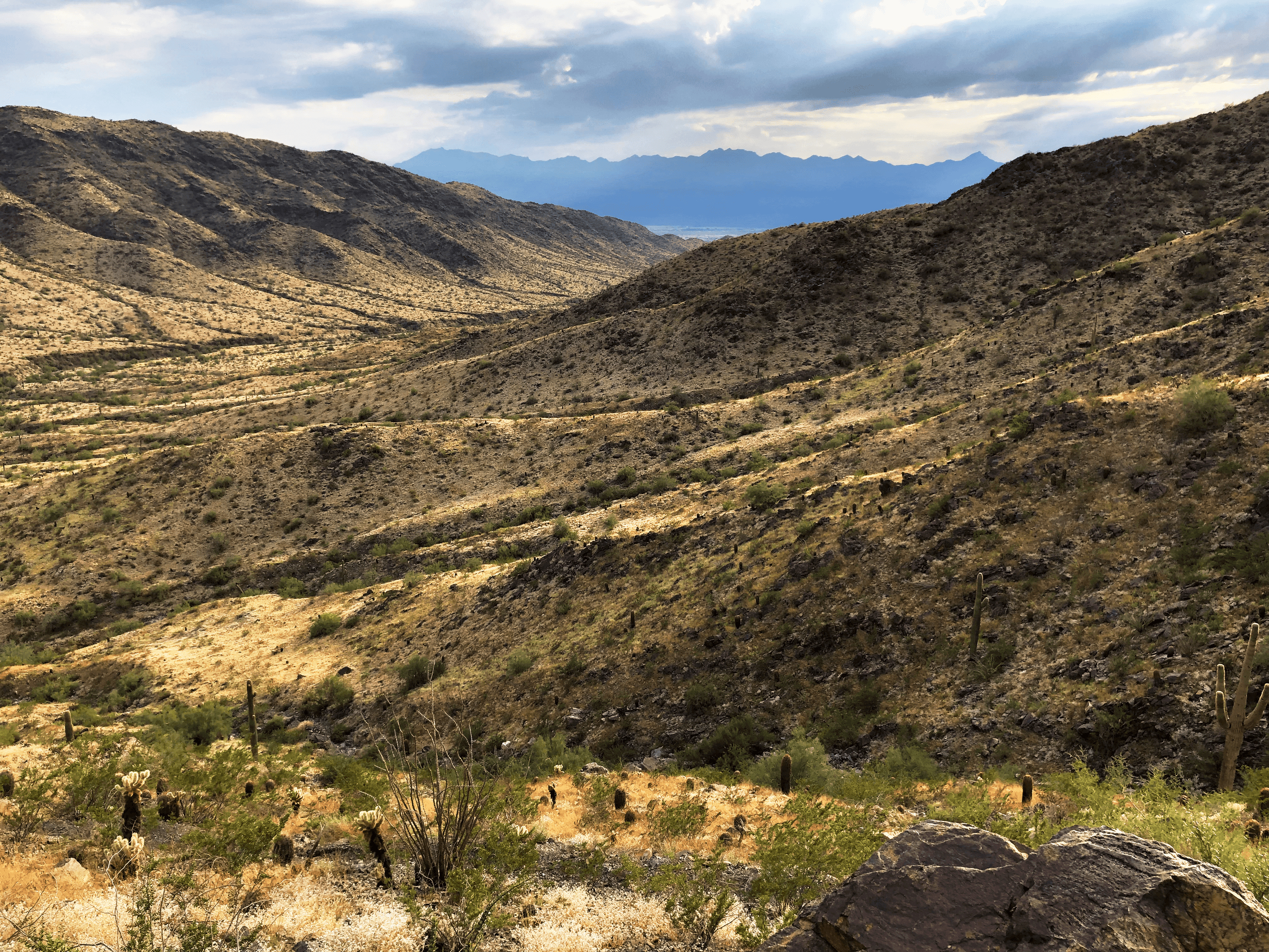 View To Estrellas